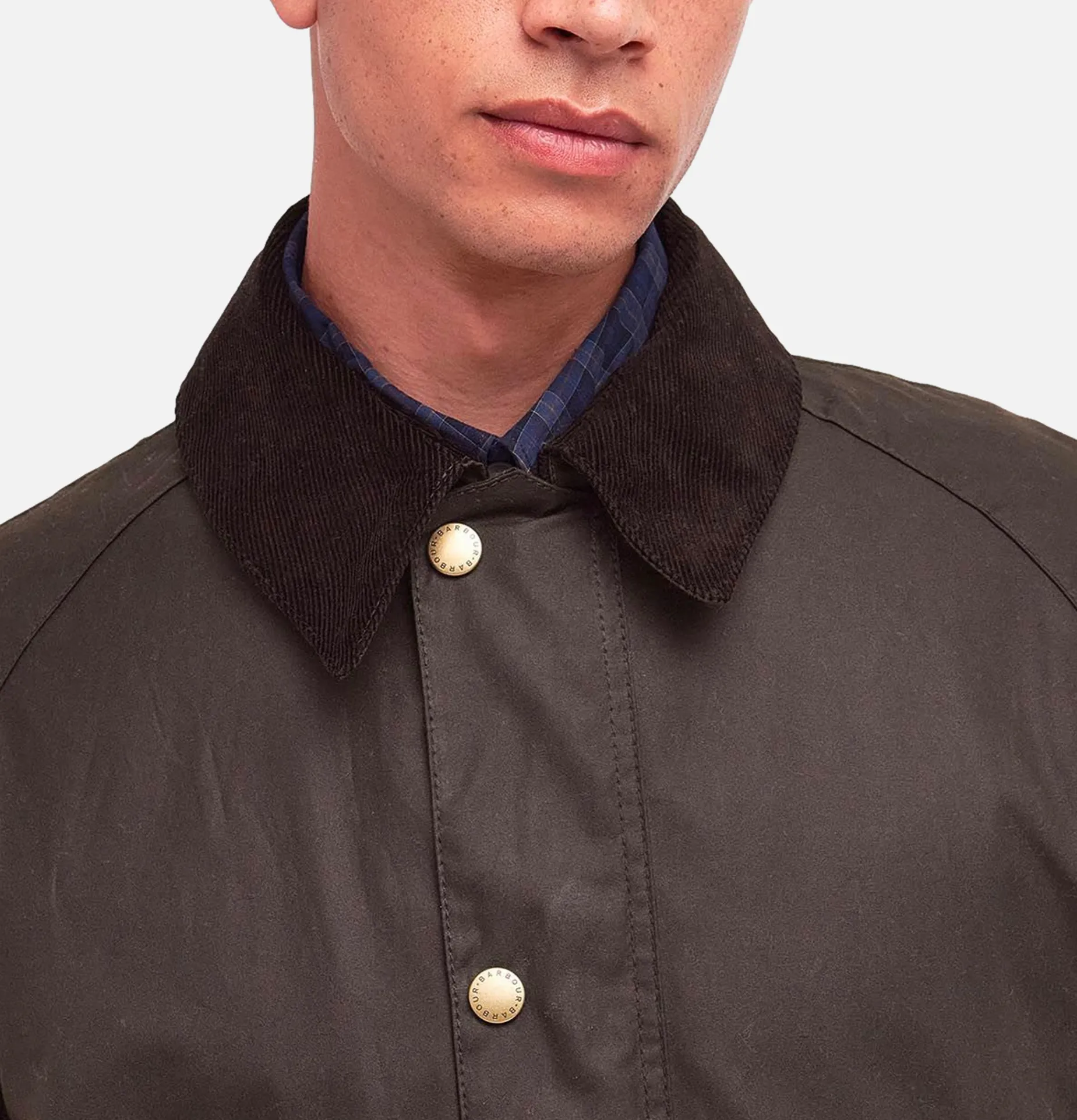 Ashby Jacket Olive
