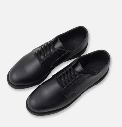 3486 - Carrier Black Chapparal