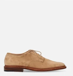 29332F - Plain Toe Blucher Suede Tan