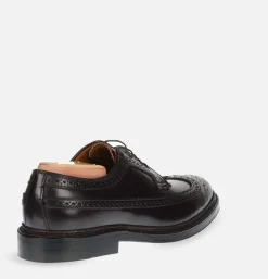 975 - Long Wing Cordovan