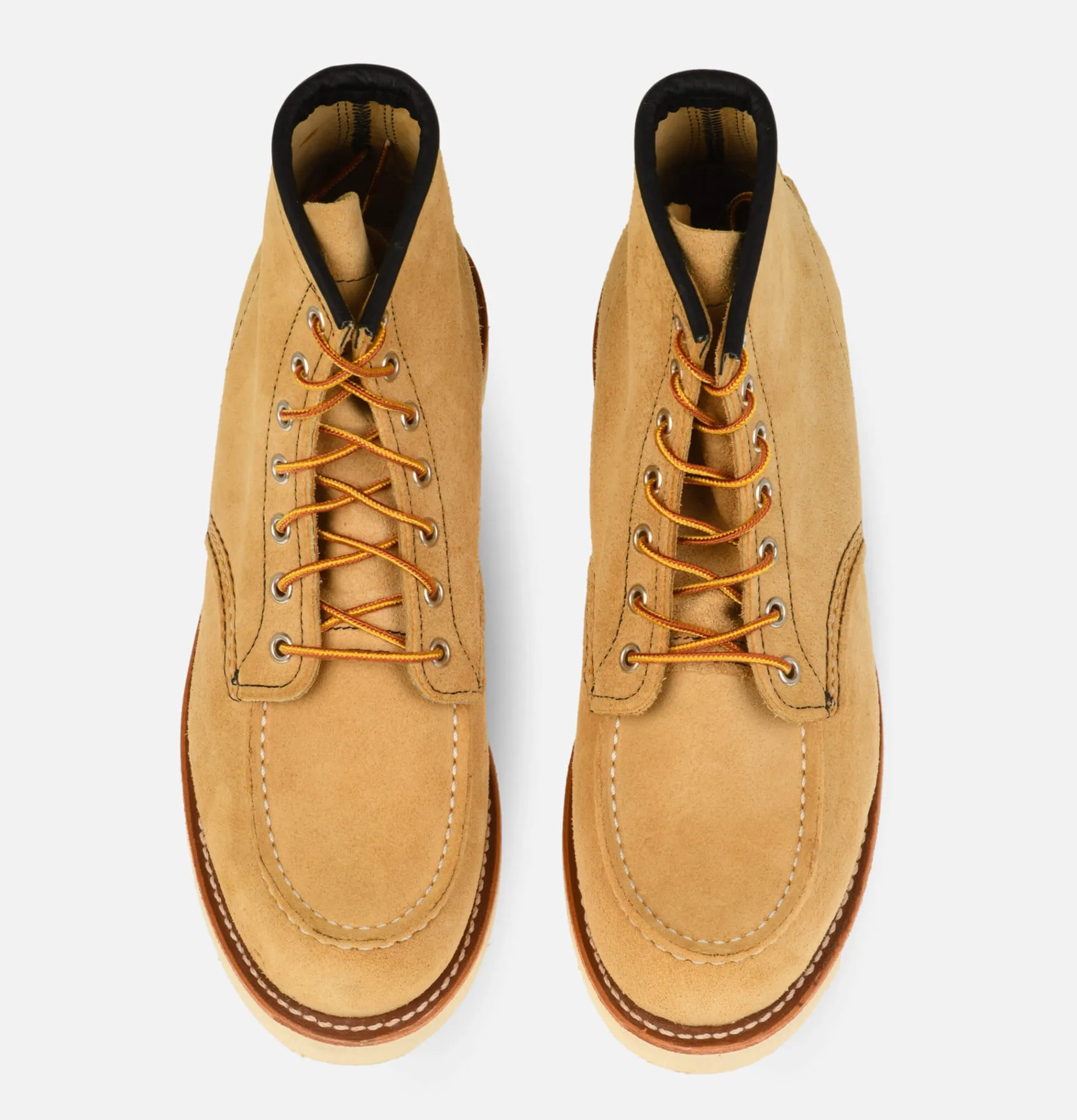 3173 - Moc Toe Hawthorne Abilene