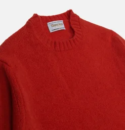 Pull Aryan Scarlet
