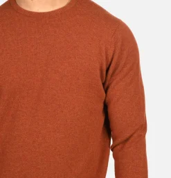 Pull Col Rond Tiger